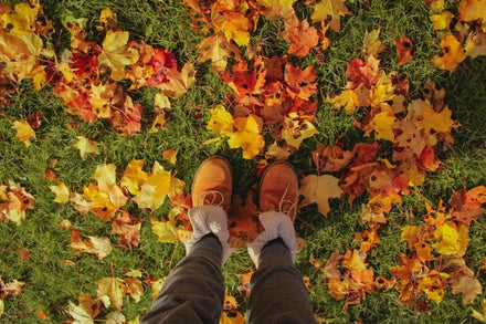 Our Favourite Autumn Colours & Styles