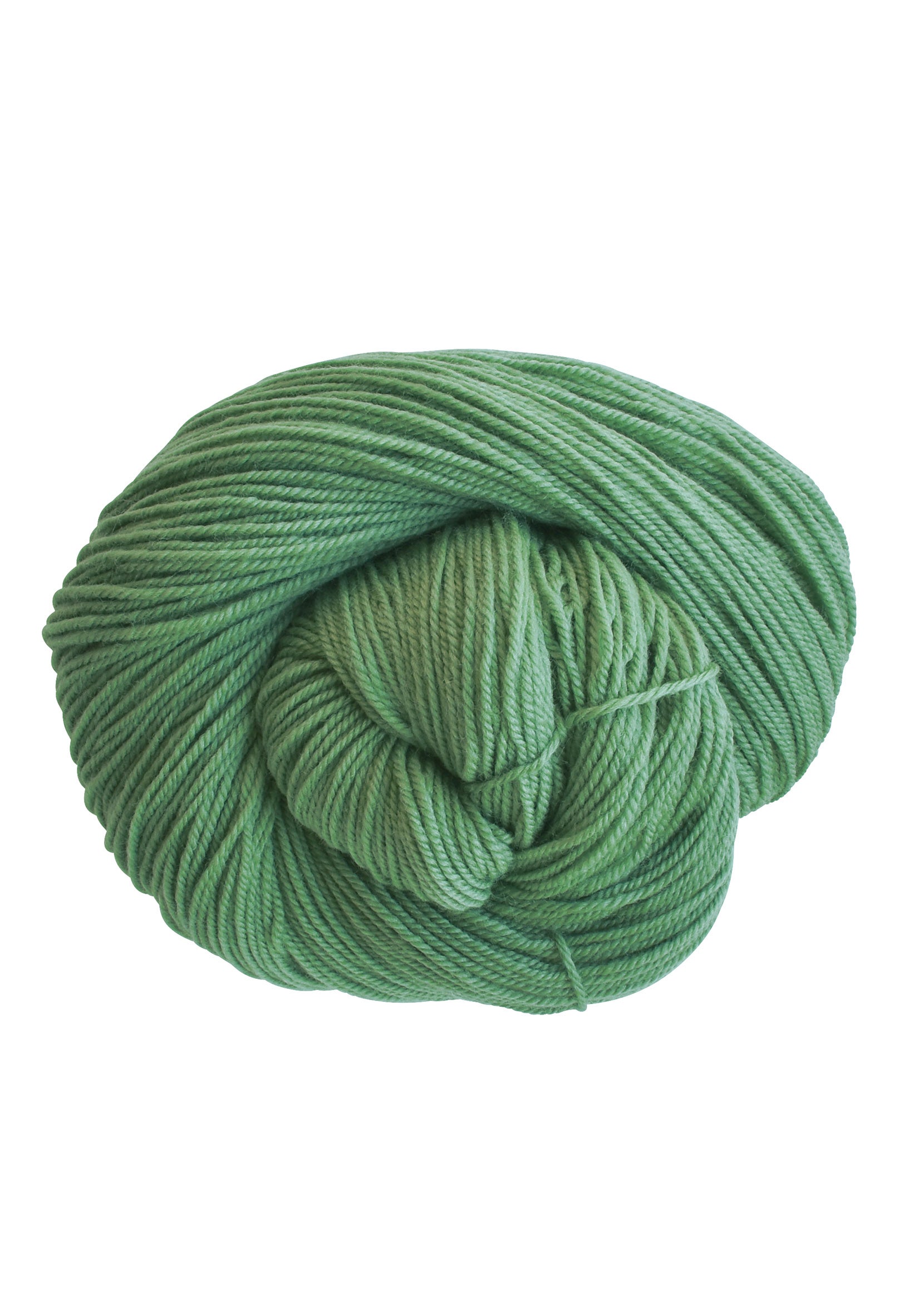 Yarn The Wool Company